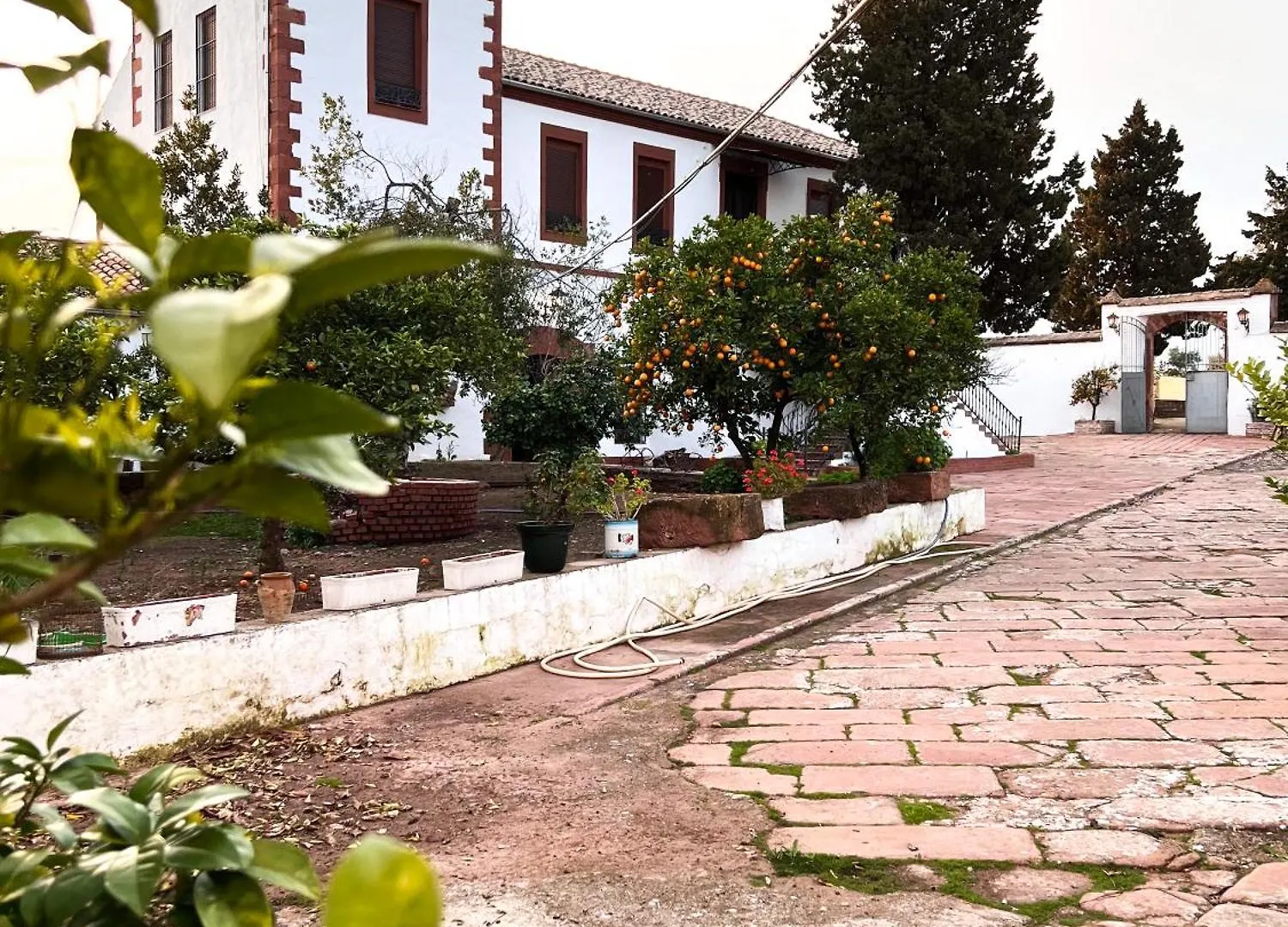 Finca Los Cardenes Molino Aceite De 1911 Montoro